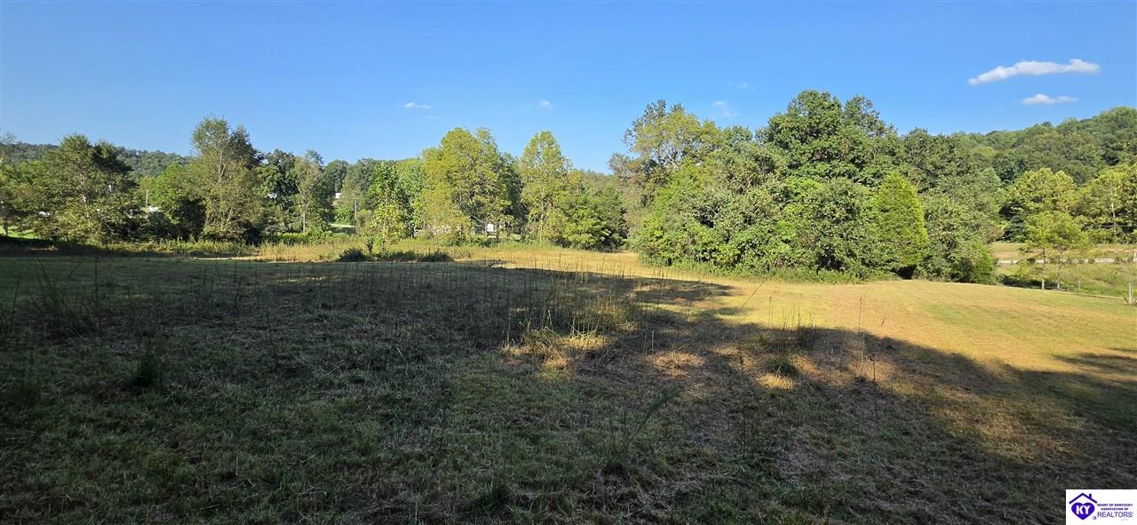 257 New State Road Webster, KY 40176 #2
