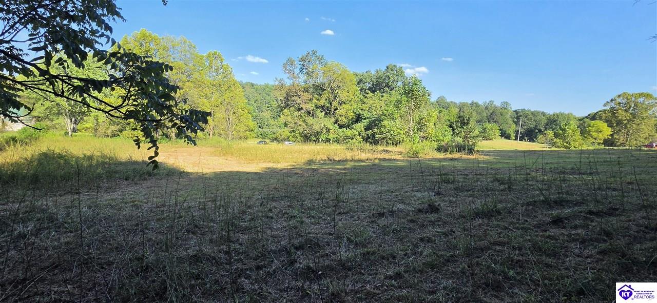 257 New State Road Webster, KY 40176 #3