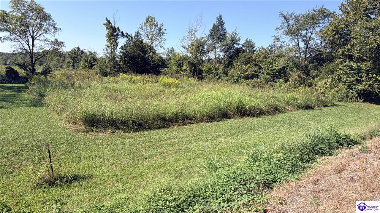 Lot 2B-14153 St John RoadRineyville,&nbsp;KY&nbsp;42788