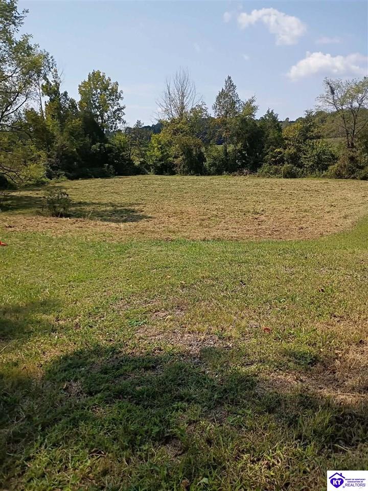 Lot 2B-14153 St John Road Rineyville, KY 42788 #1