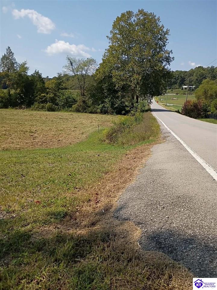 Lot 2B-14153 St John Road Rineyville, KY 42788 #2
