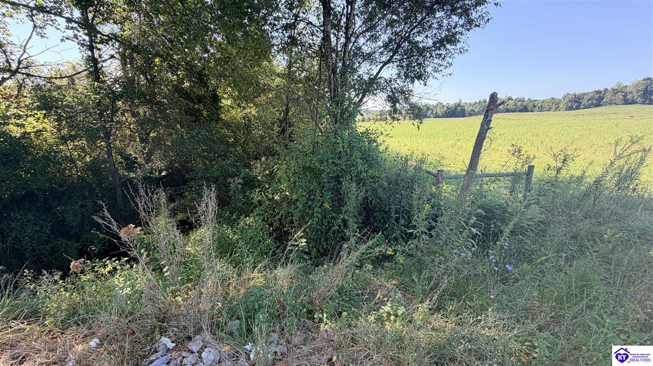 Lot 2B-14153 St John Road Rineyville, KY 42788 #4