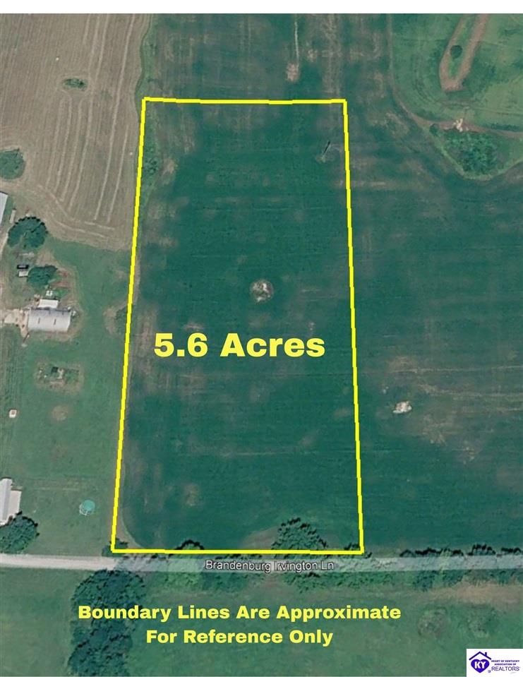 185 Brandenburg-Irvington LnIrvington,&nbsp;KY&nbsp;40146