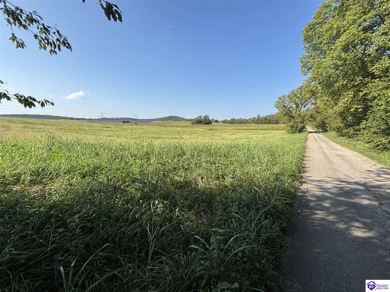 185 Brandenburg-Irvington Ln Irvington, KY 40146 #1