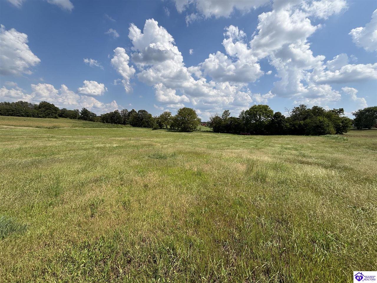 185 Brandenburg-Irvington Ln Irvington, KY 40146 #2