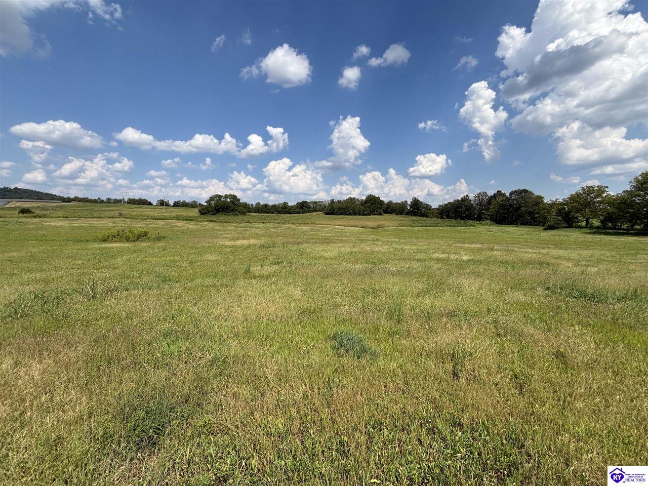 185 Brandenburg-Irvington Ln Irvington, KY 40146 #3