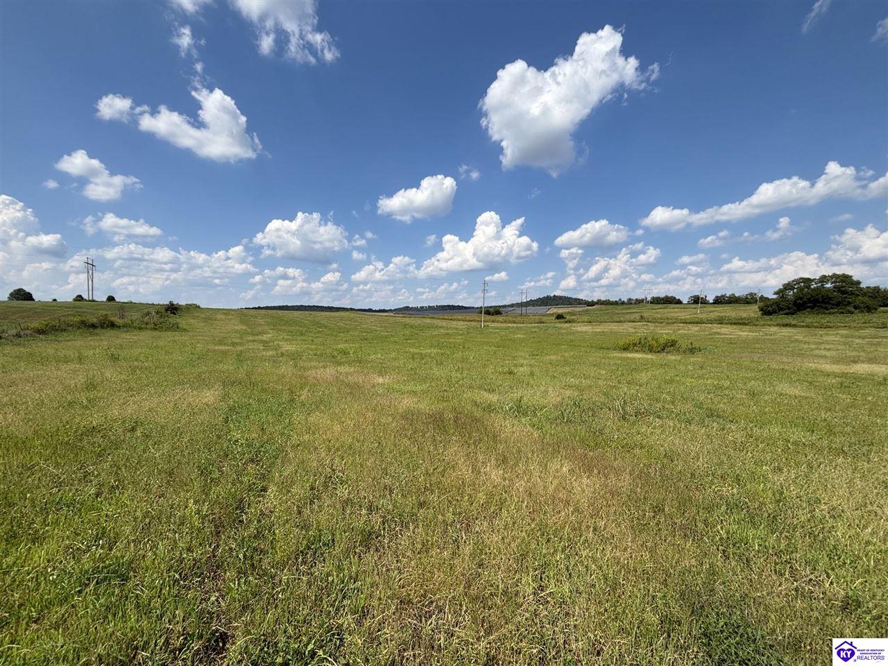 185 Brandenburg-Irvington Ln Irvington, KY 40146 #4