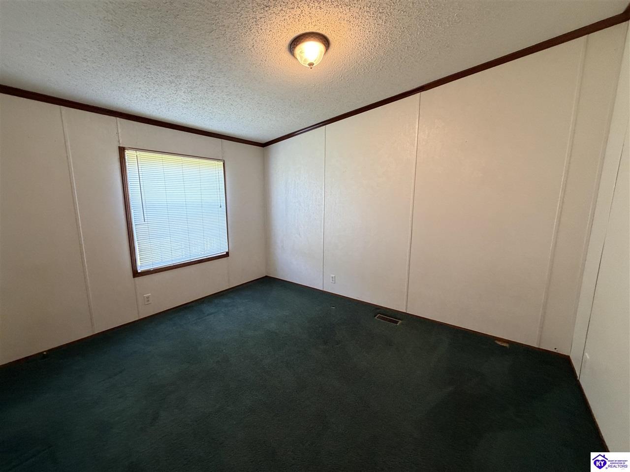 455 Morris Court Vine Grove, KY 40175 #4