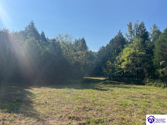 0 N Highway 261 Harned, KY 40144 #1