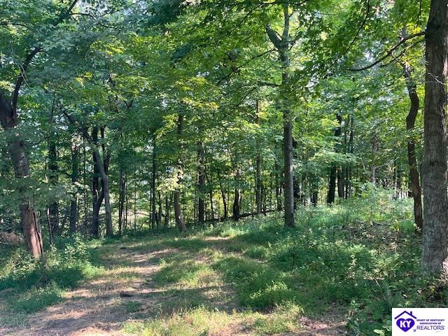0 N Highway 261 Harned, KY 40144 #2