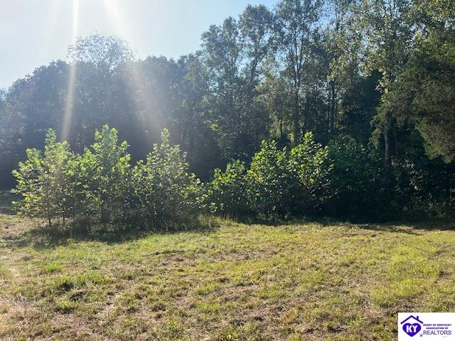 0 N Highway 261 Harned, KY 40144 #3