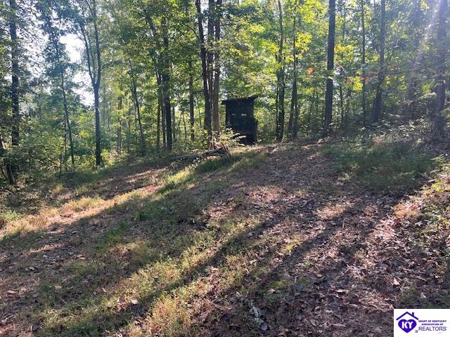 0 N Highway 261 Harned, KY 40144 #4