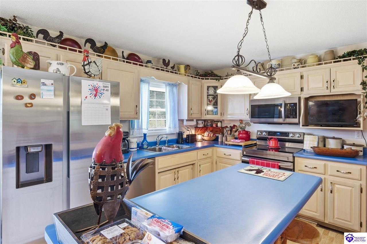 367 S Black Branch Road Cecilia, KY 42724 #4