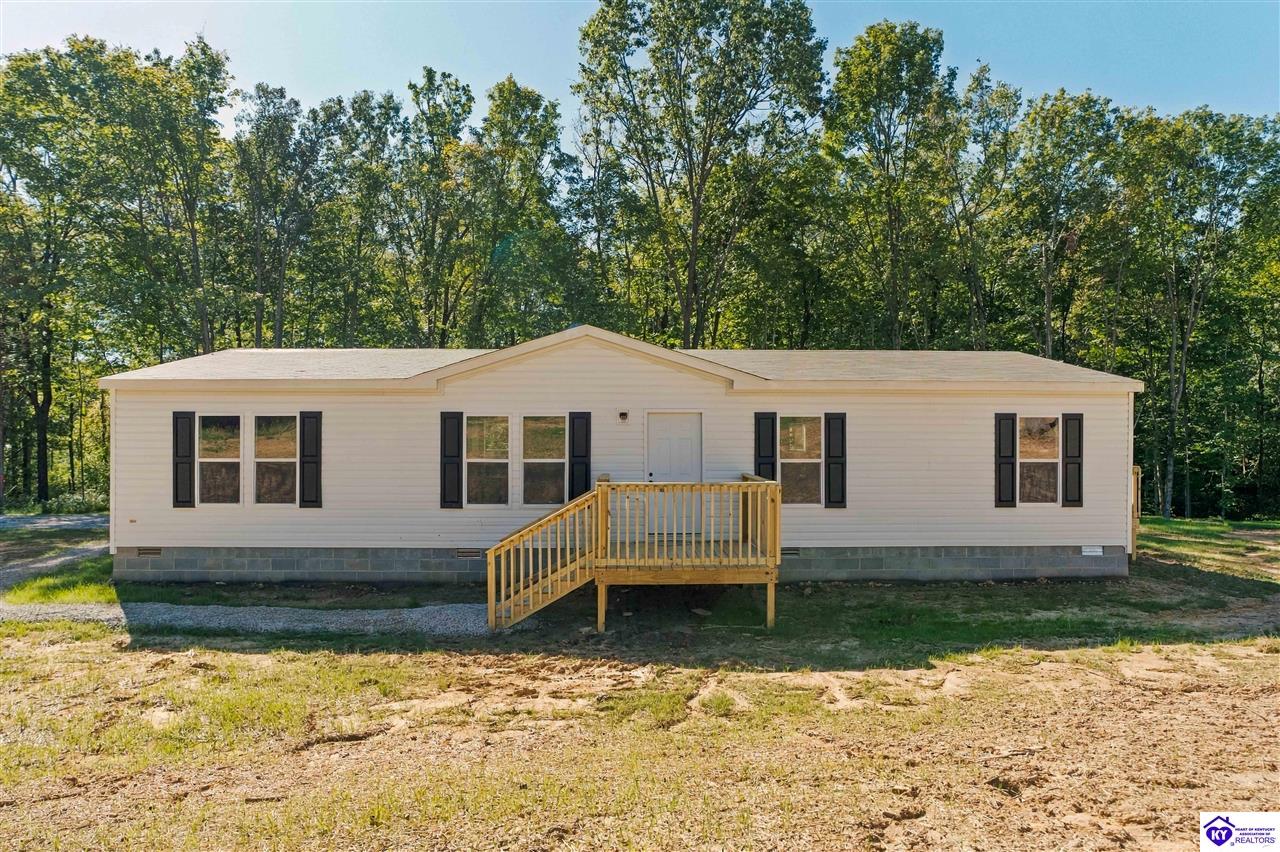4451 Berrytown Road Rineyville, KY 40162 #1