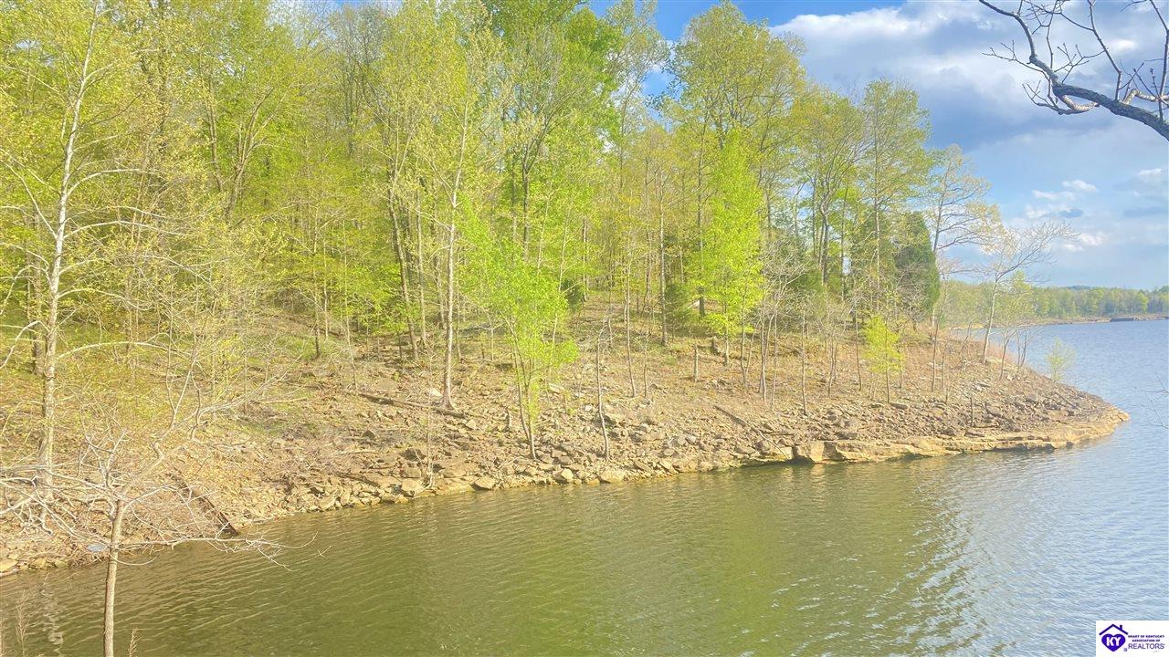 370 Cave Heights LaneFalls Of Rough,&nbsp;KY&nbsp;40119