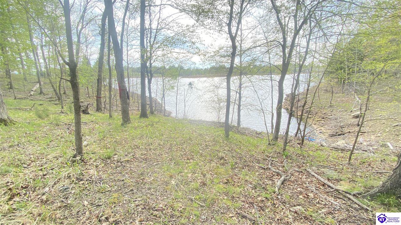 370 Cave Heights Lane Falls Of Rough, KY 40119 #1