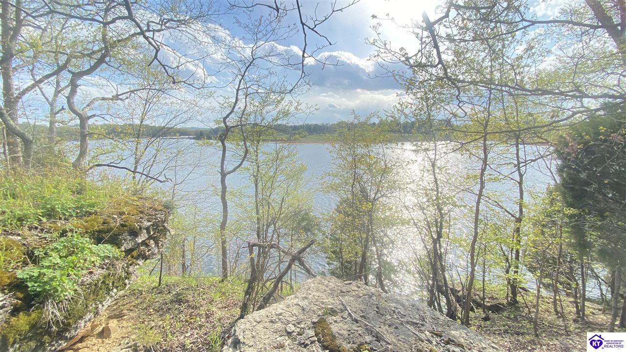 370 Cave Heights Lane Falls Of Rough, KY 40119 #2