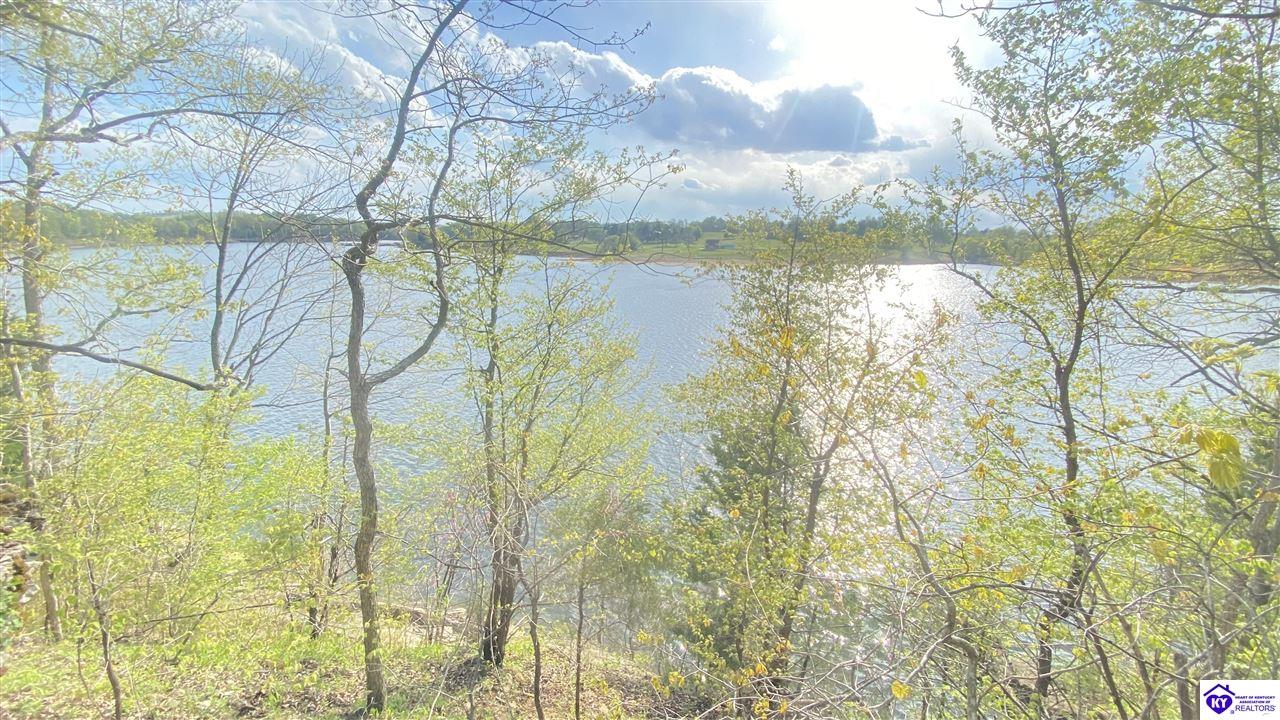 370 Cave Heights Lane Falls Of Rough, KY 40119 #3