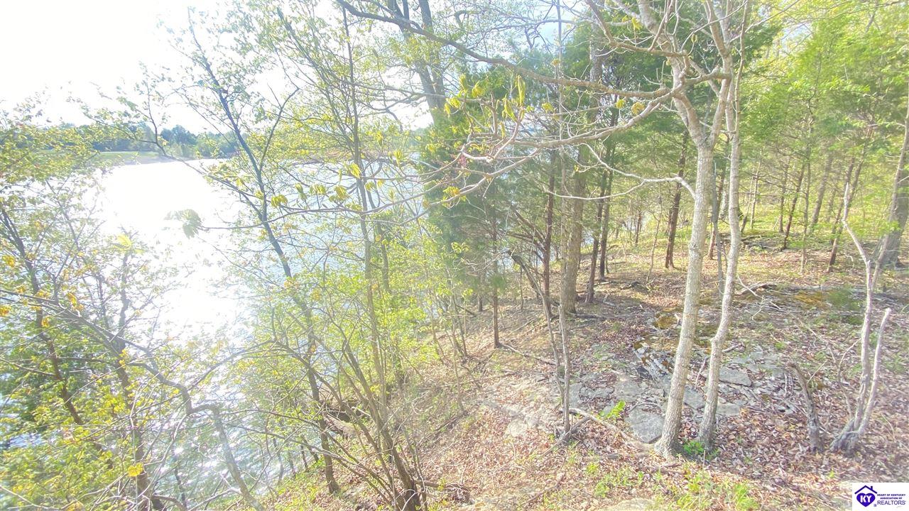 370 Cave Heights Lane Falls Of Rough, KY 40119 #4