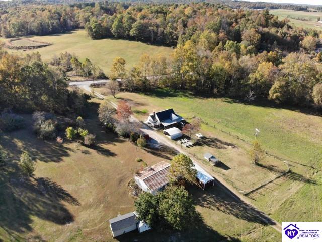 2313 Bowling Green Road Caneyville, KY 42721 #3