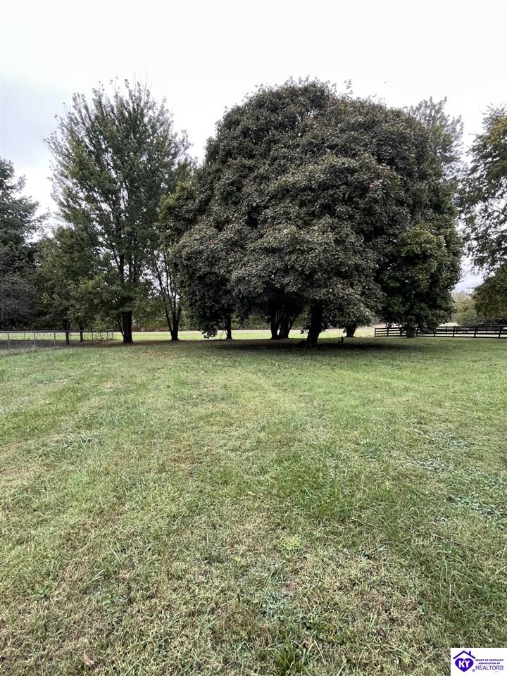 2146 Cecilia Smiths Mill Road Cecilia, KY 42724 #3