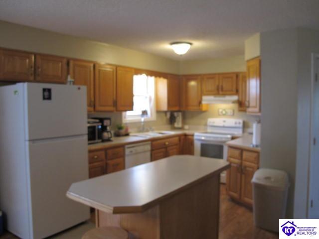 330 Burkhead Lane Big Clifty, KY 42712 #4