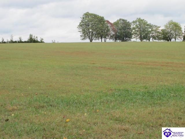 330 Burkhead Lane Big Clifty, KY 42712 #2