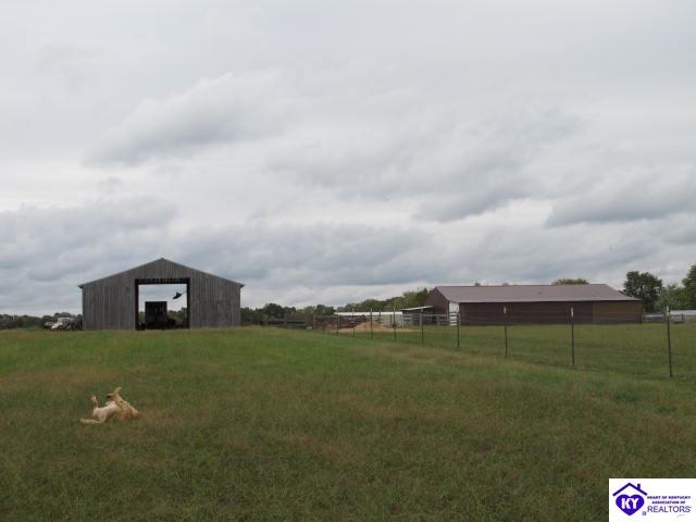 330 Burkhead Lane Big Clifty, KY 42712 #3