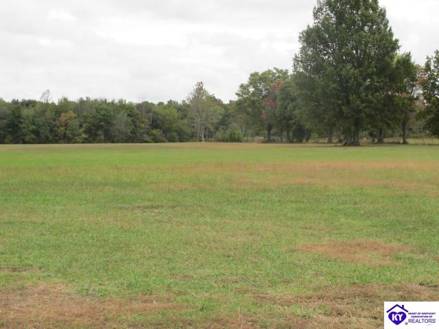 330 Burkhead Lane Big Clifty, KY 42712 #4