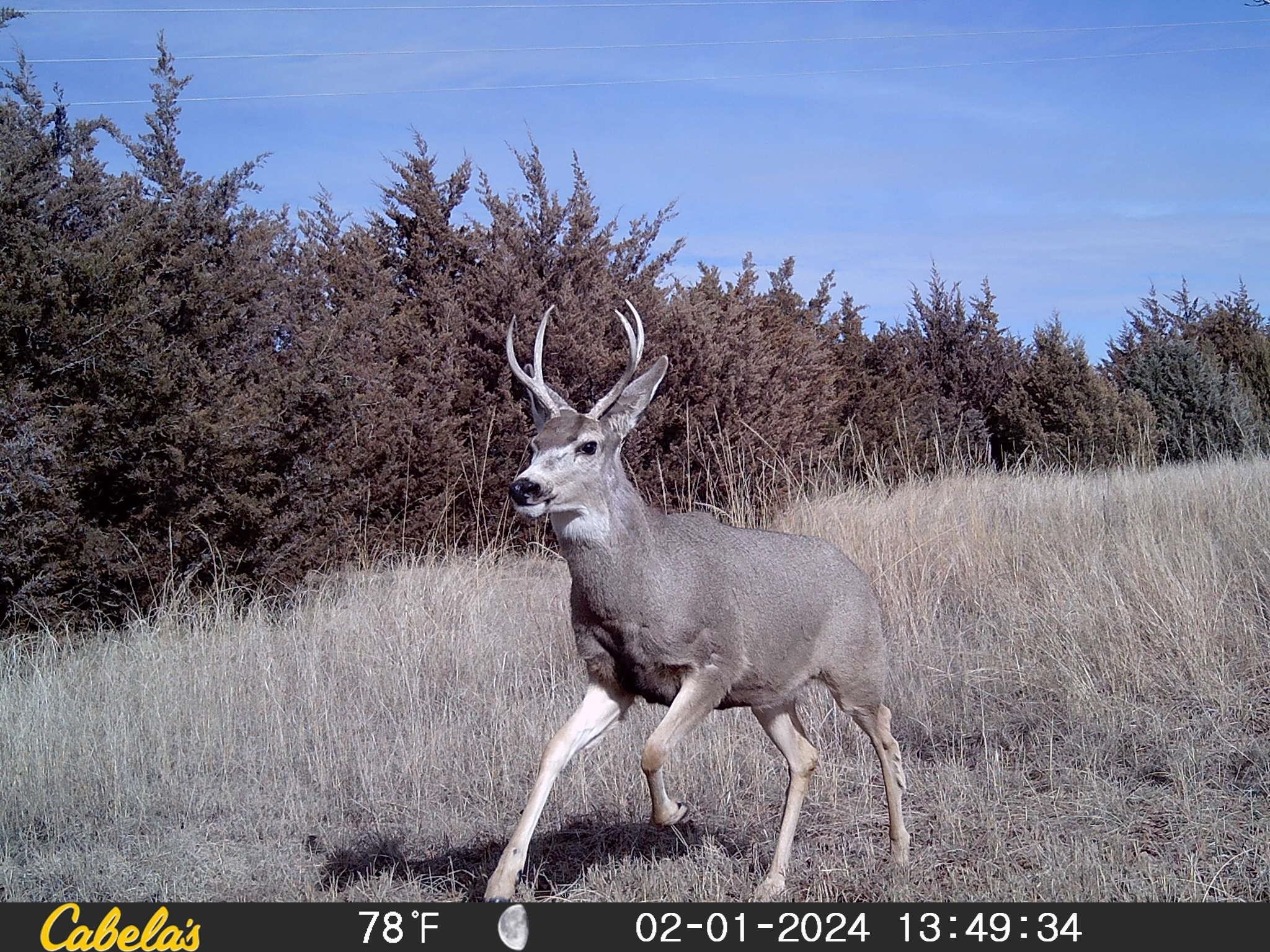 5504 SW Ridgecrest Circle