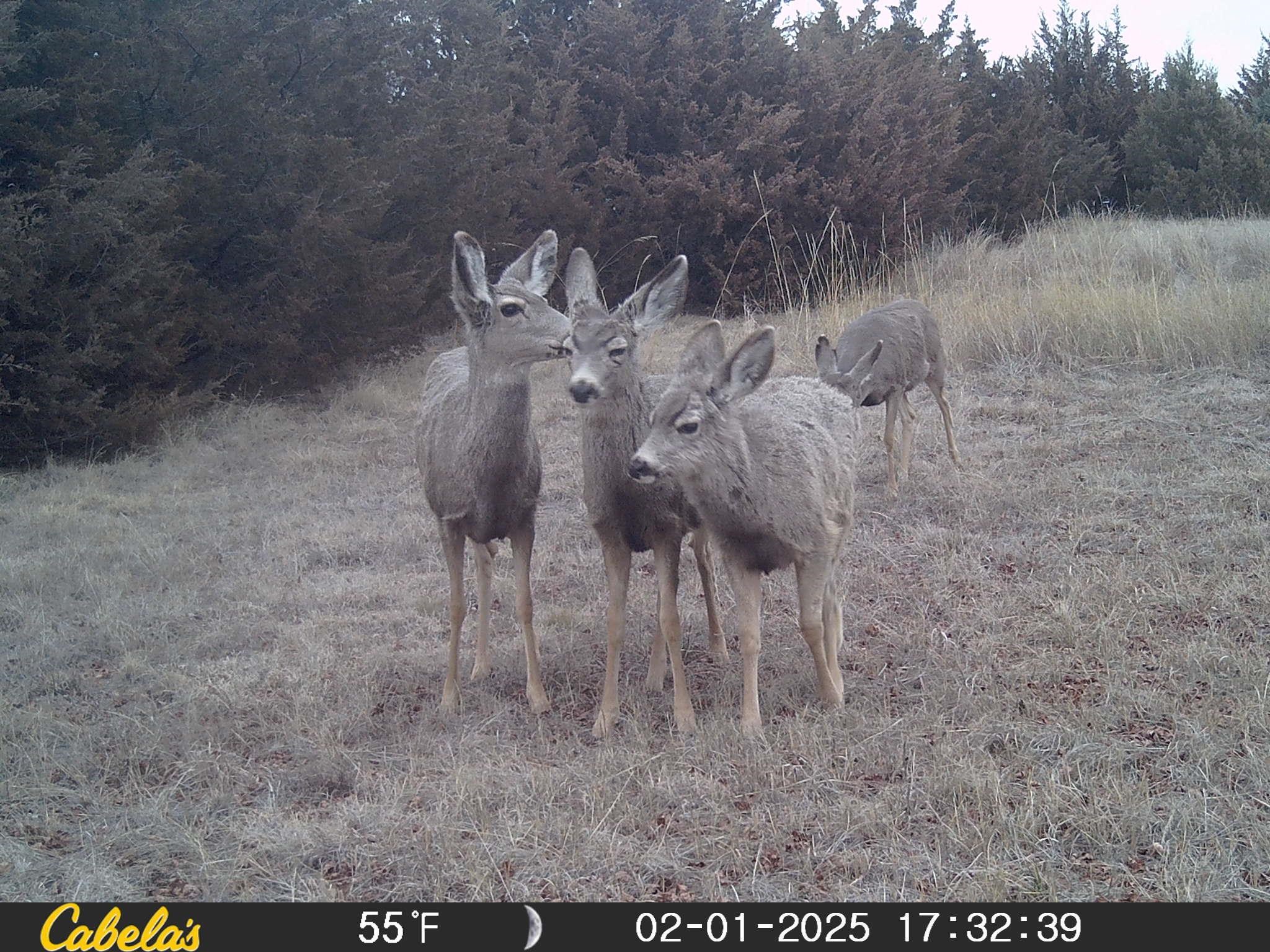 5504 SW Ridgecrest Circle