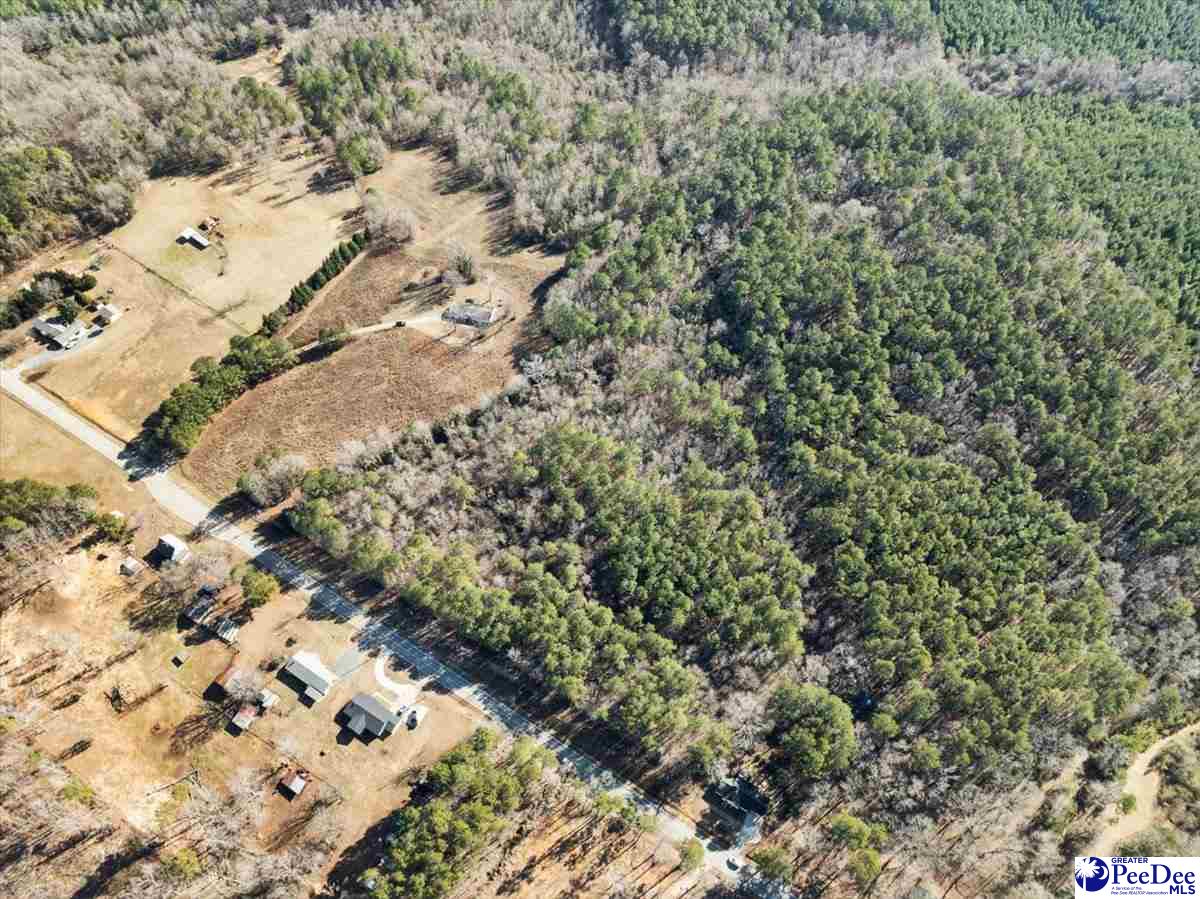 102 Dolly Moore Lane