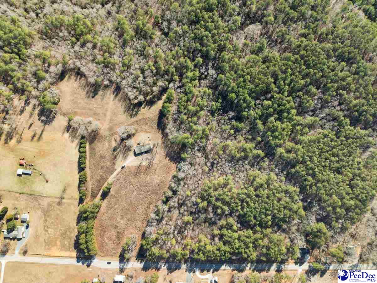 102 Dolly Moore Lane