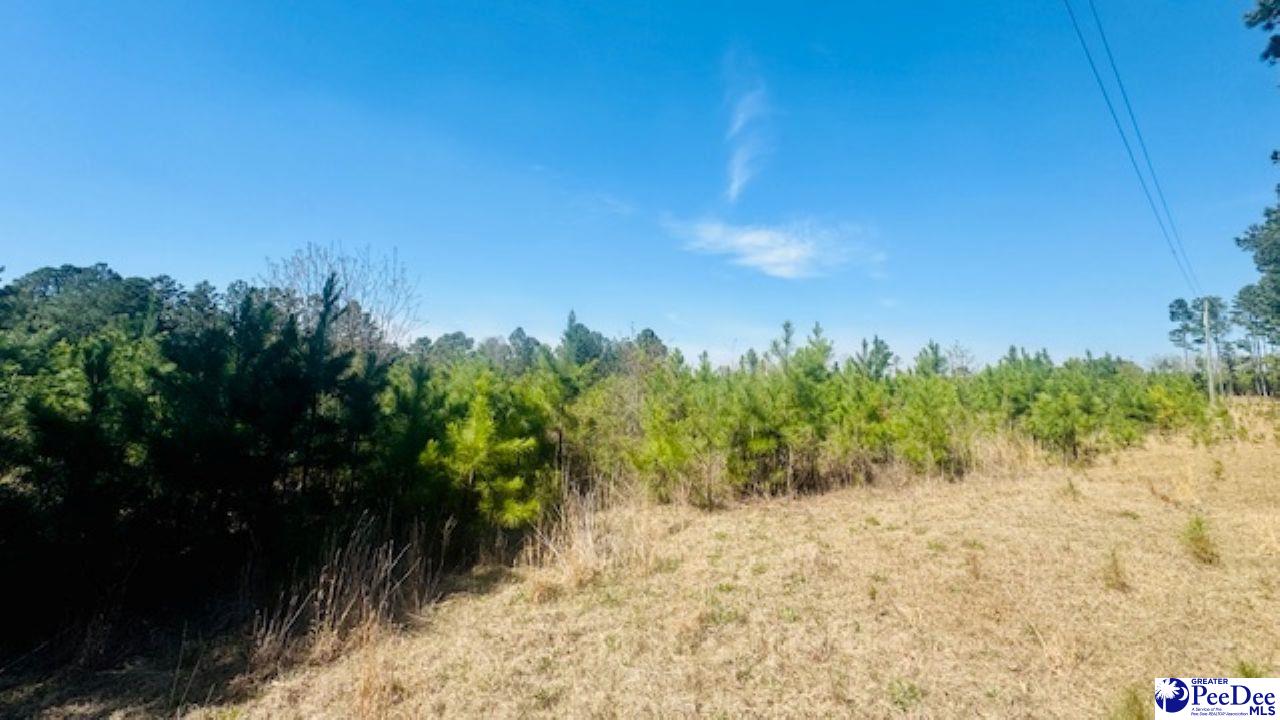 415 Hawkins Rd