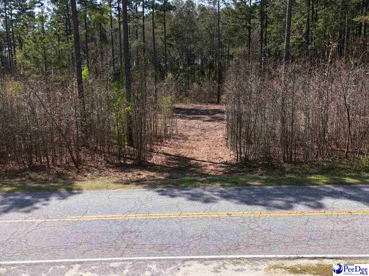 Tracts 1 & 2 Snow Hill Rd