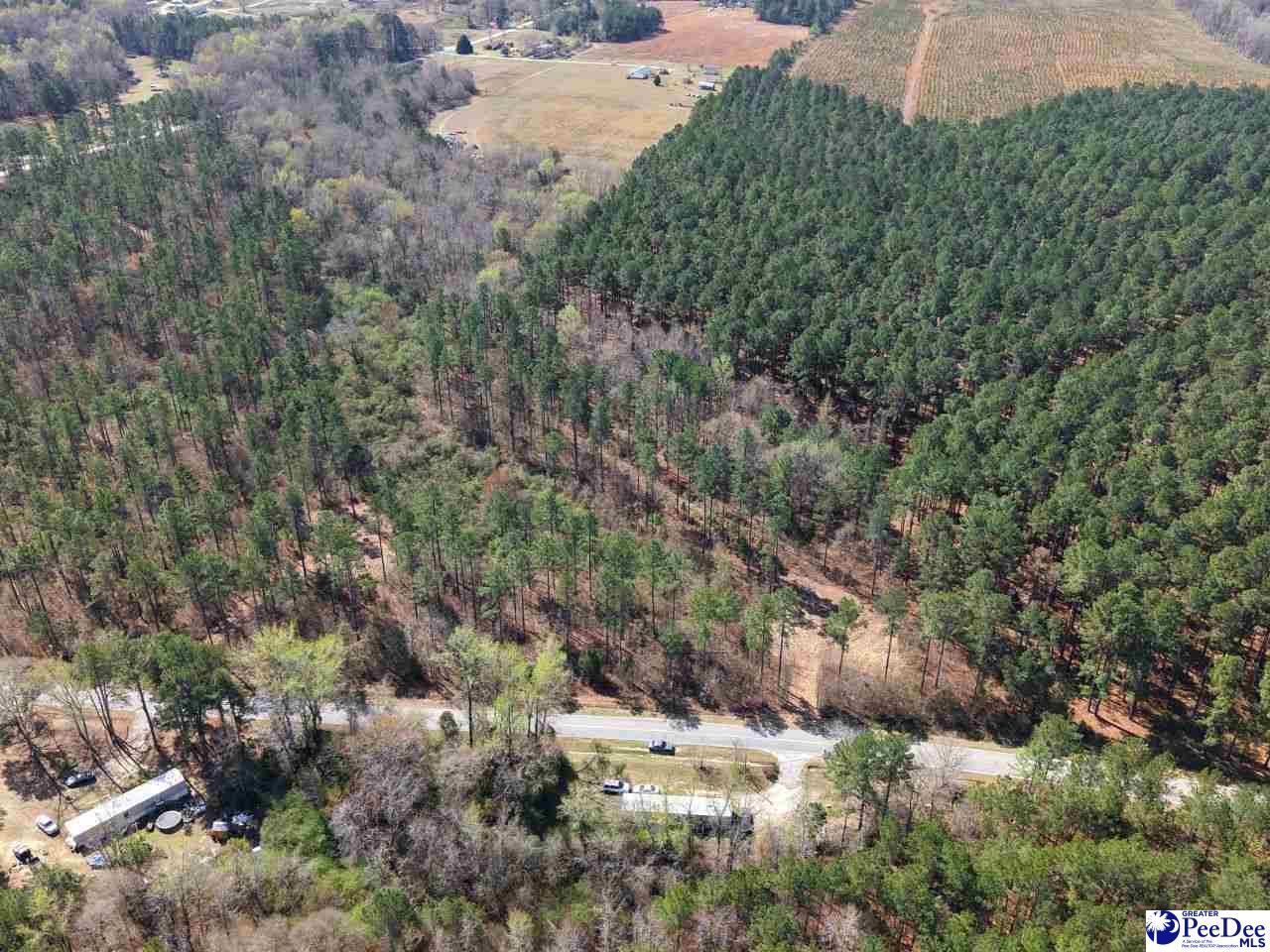 Tracts 1 & 2 Snow Hill Rd