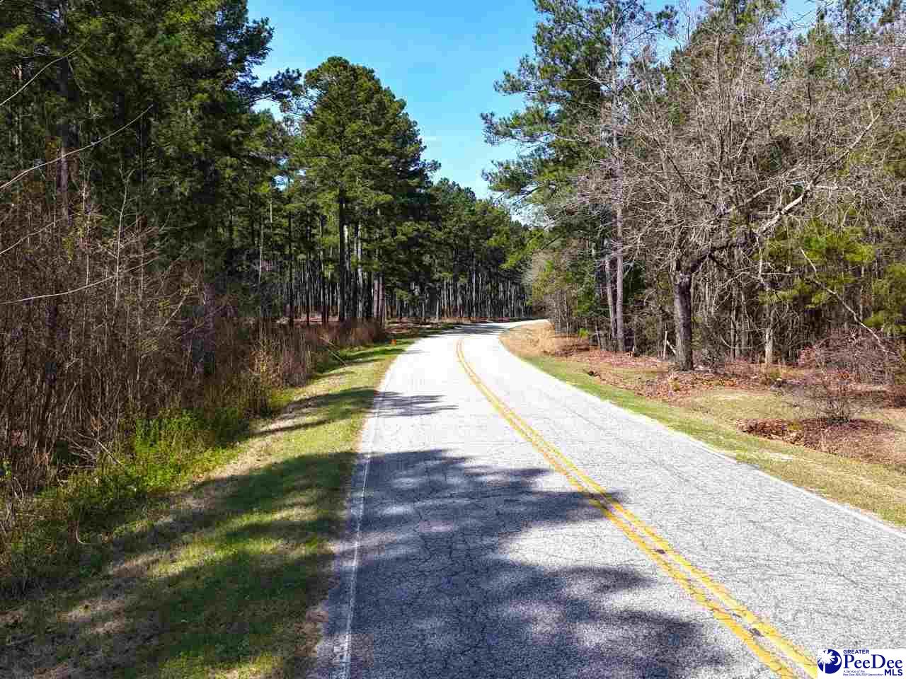 Tracts 1 & 2 Snow Hill Rd