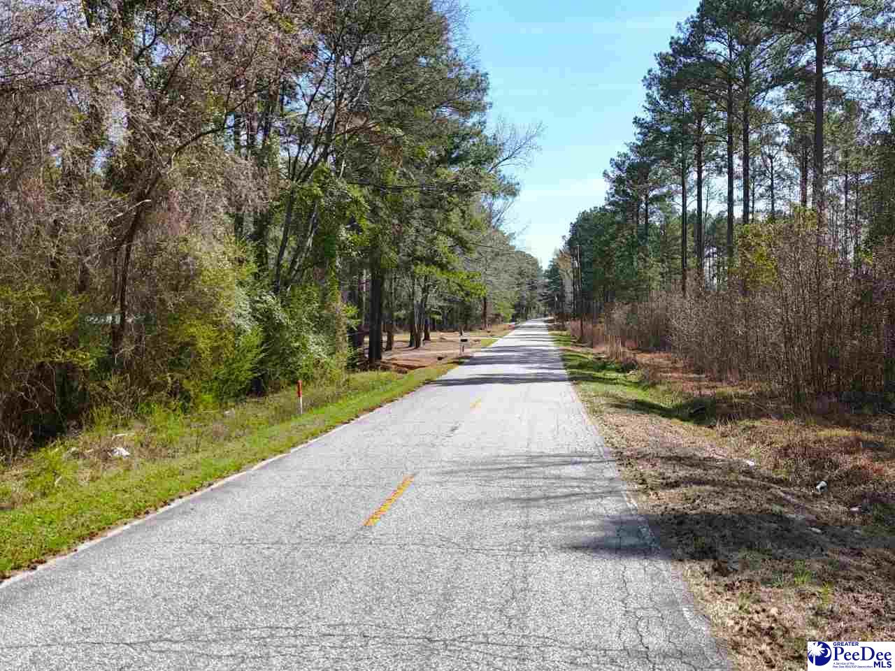 Tracts 1 & 2 Snow Hill Rd