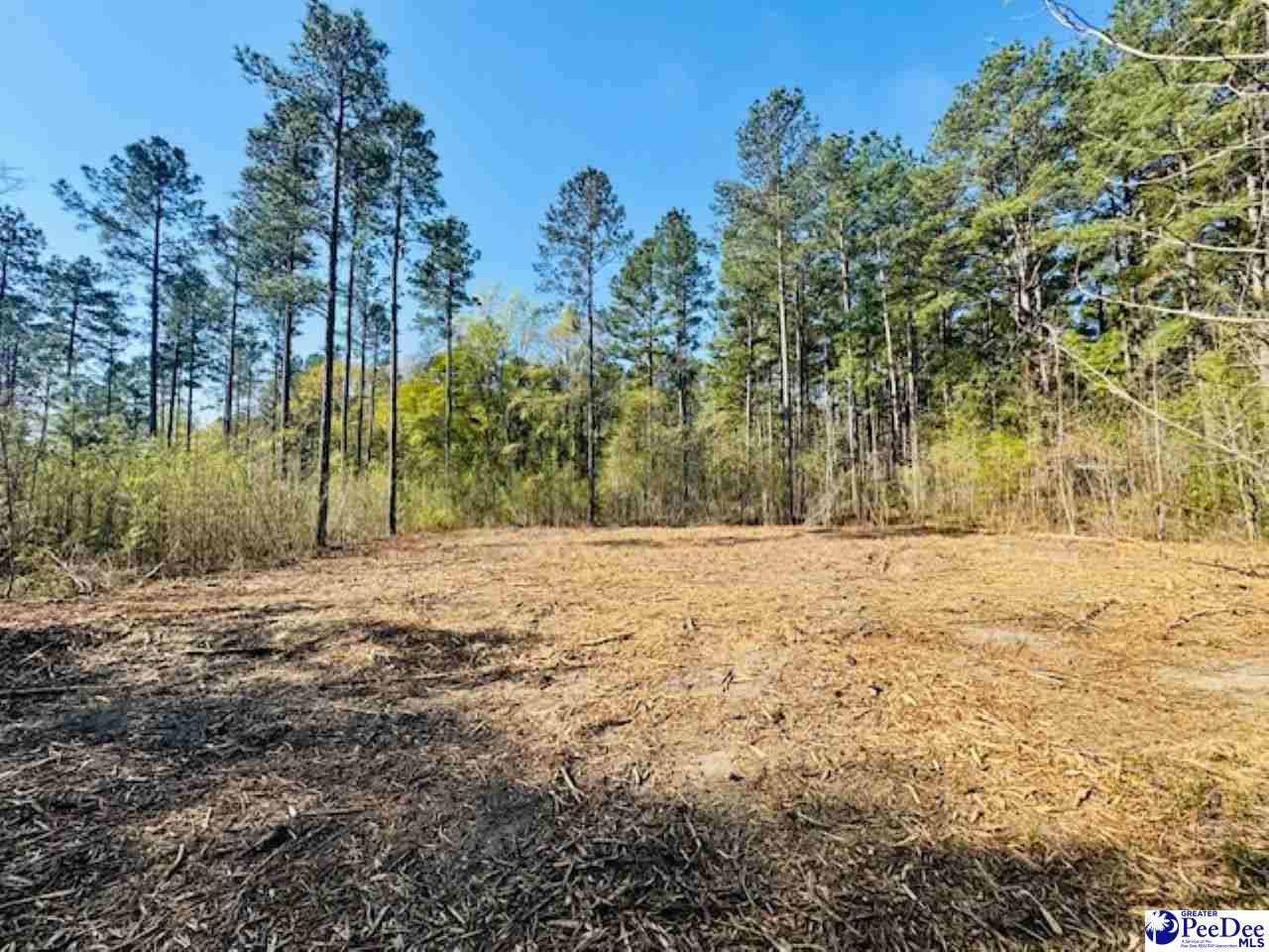 Tracts 1 & 2 Snow Hill Rd