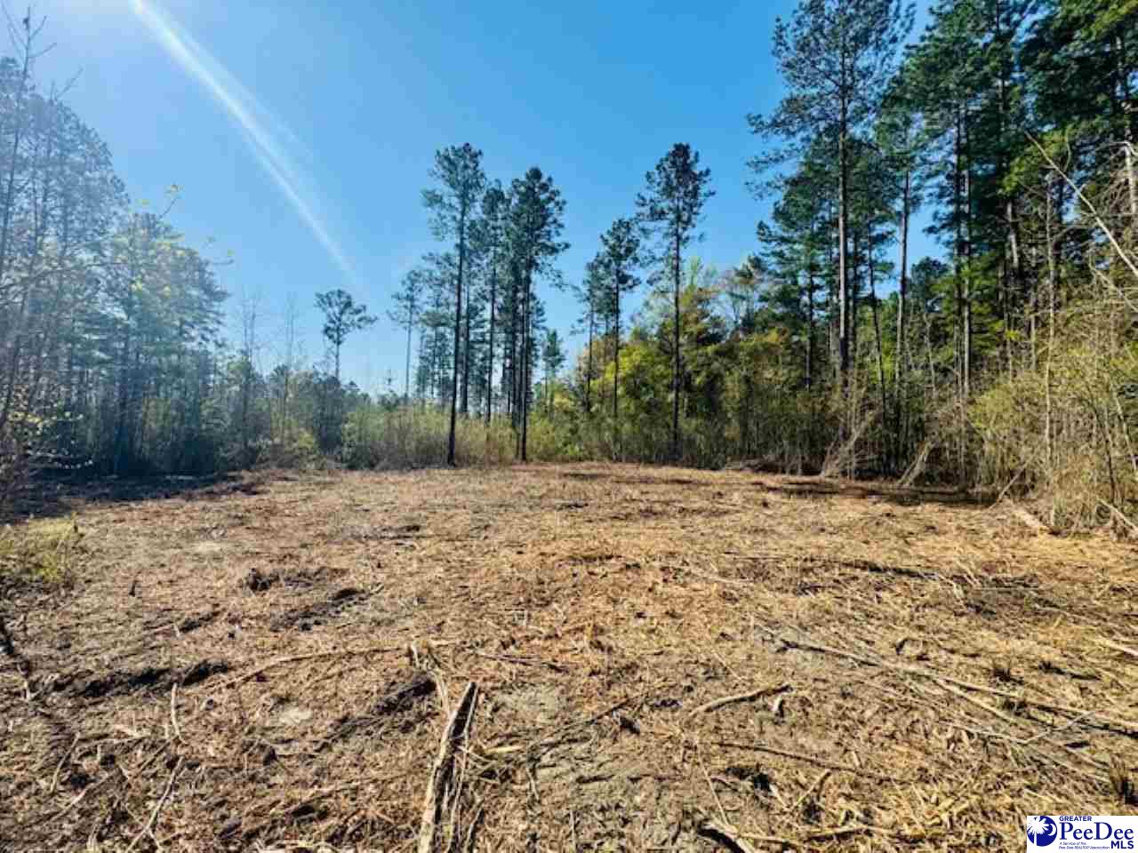 Tracts 1 & 2 Snow Hill Rd