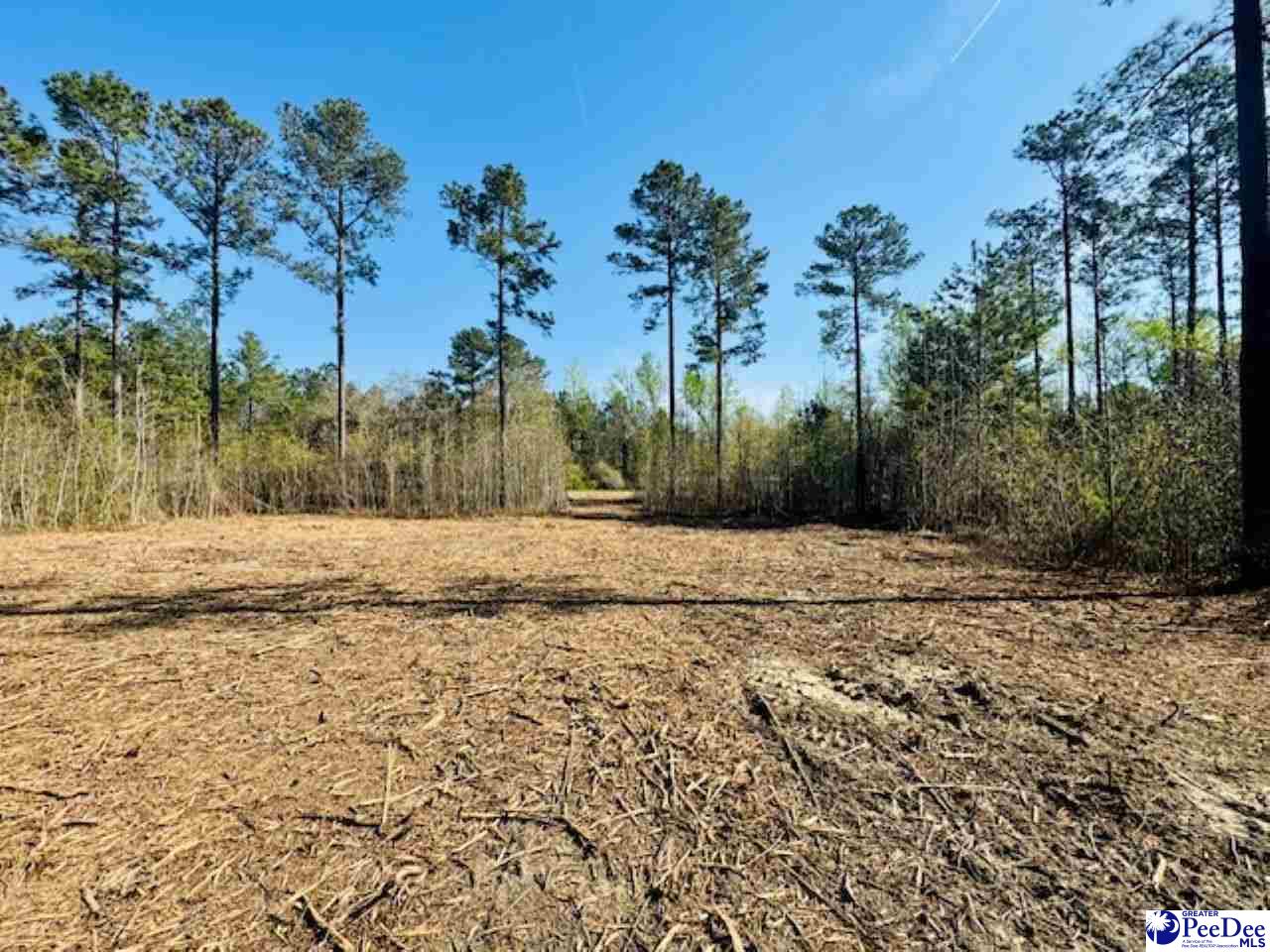 Tracts 1 & 2 Snow Hill Rd