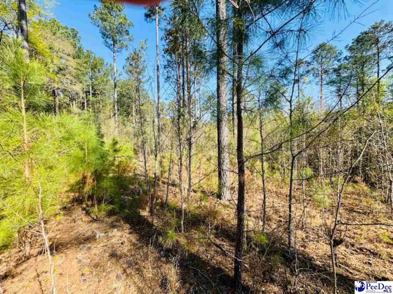 Tracts 1 & 2 Snow Hill Rd