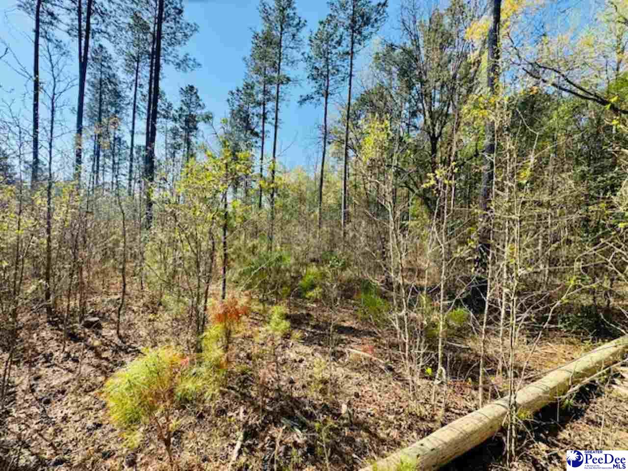 Tracts 1 & 2 Snow Hill Rd