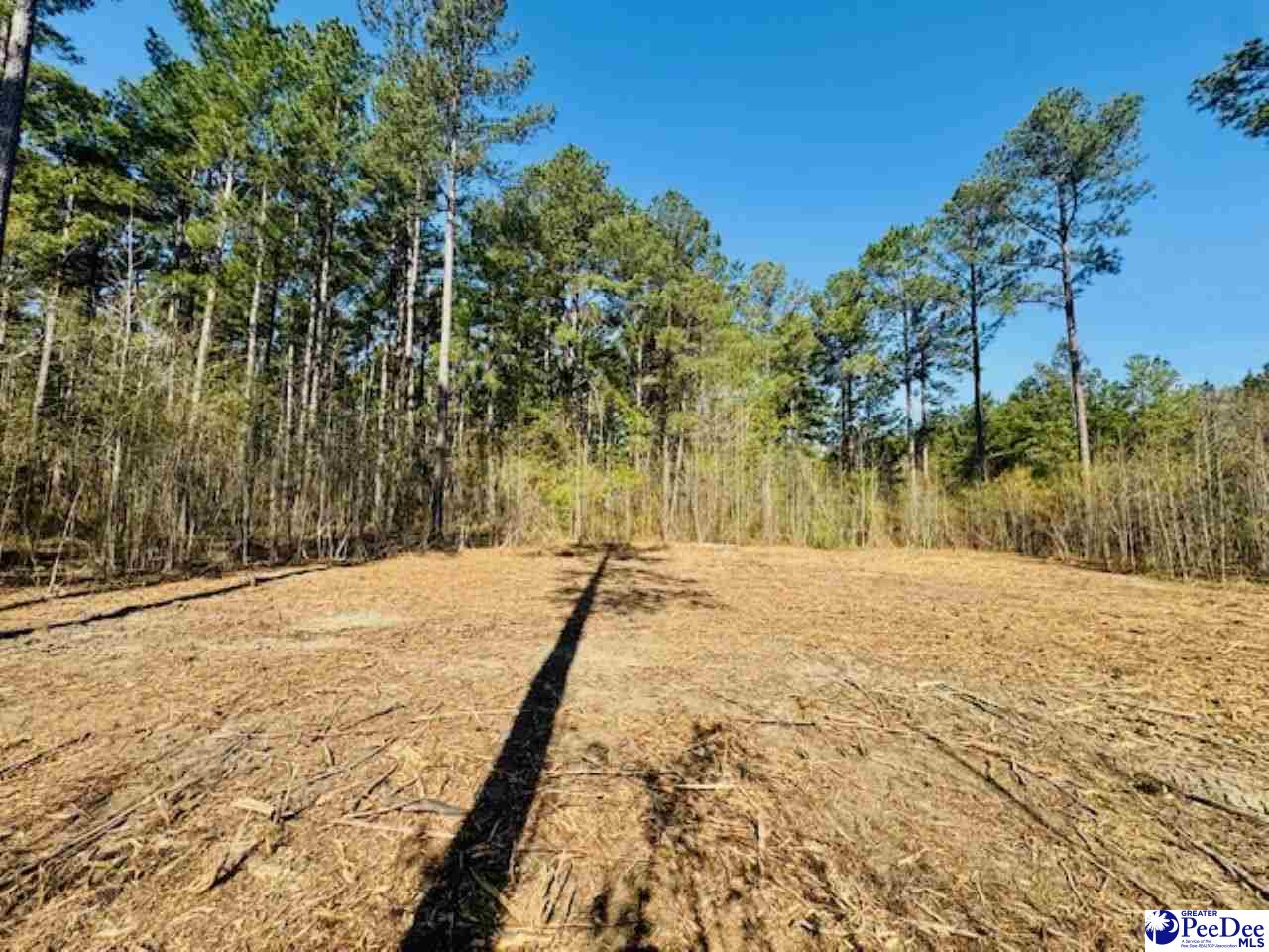 Tracts 1 & 2 Snow Hill Rd