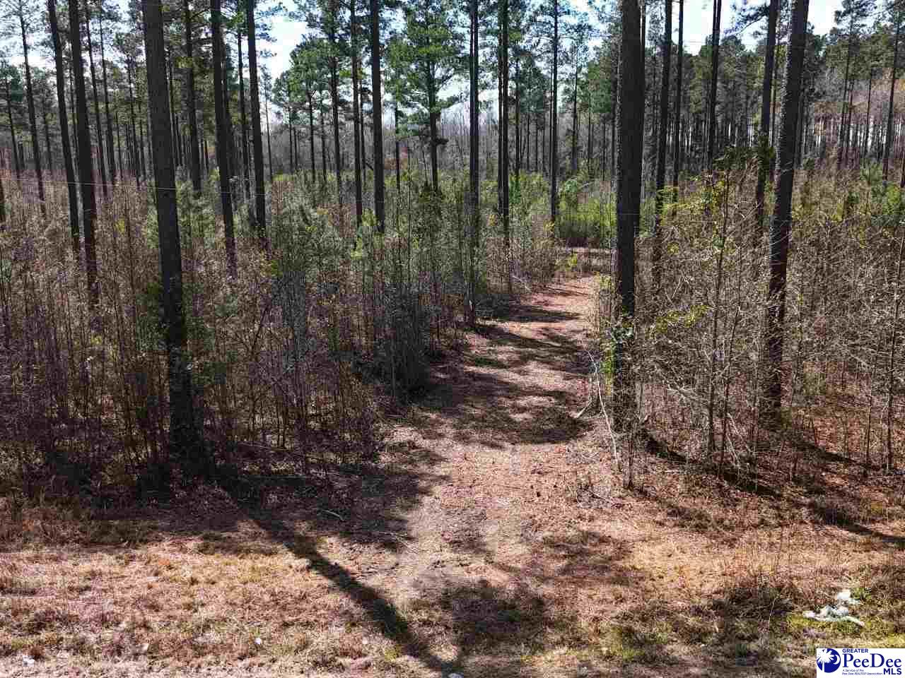 Tracts 1 & 2 Snow Hill Rd