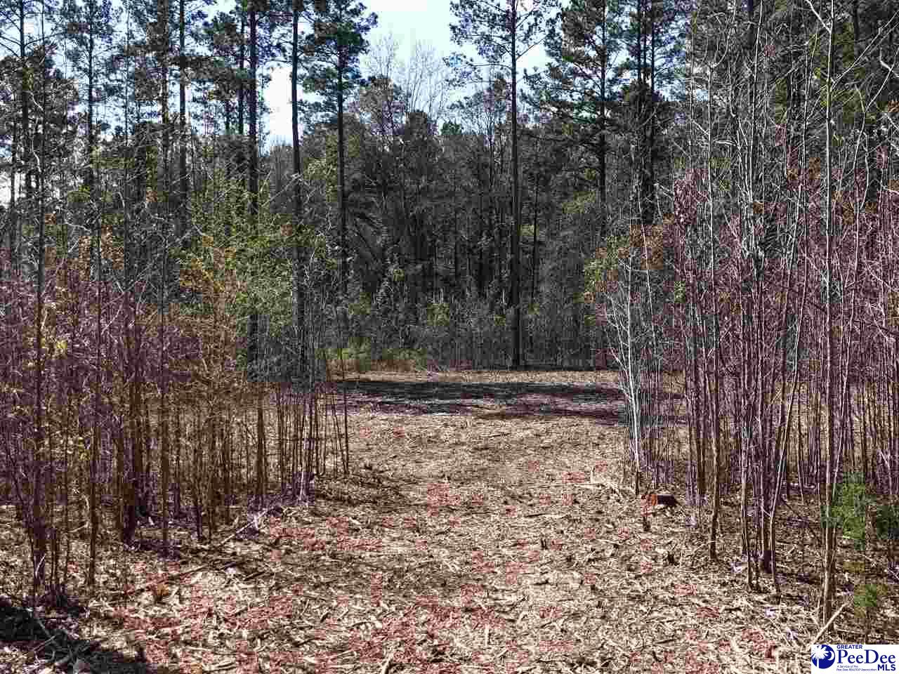 Tracts 1 & 2 Snow Hill Rd