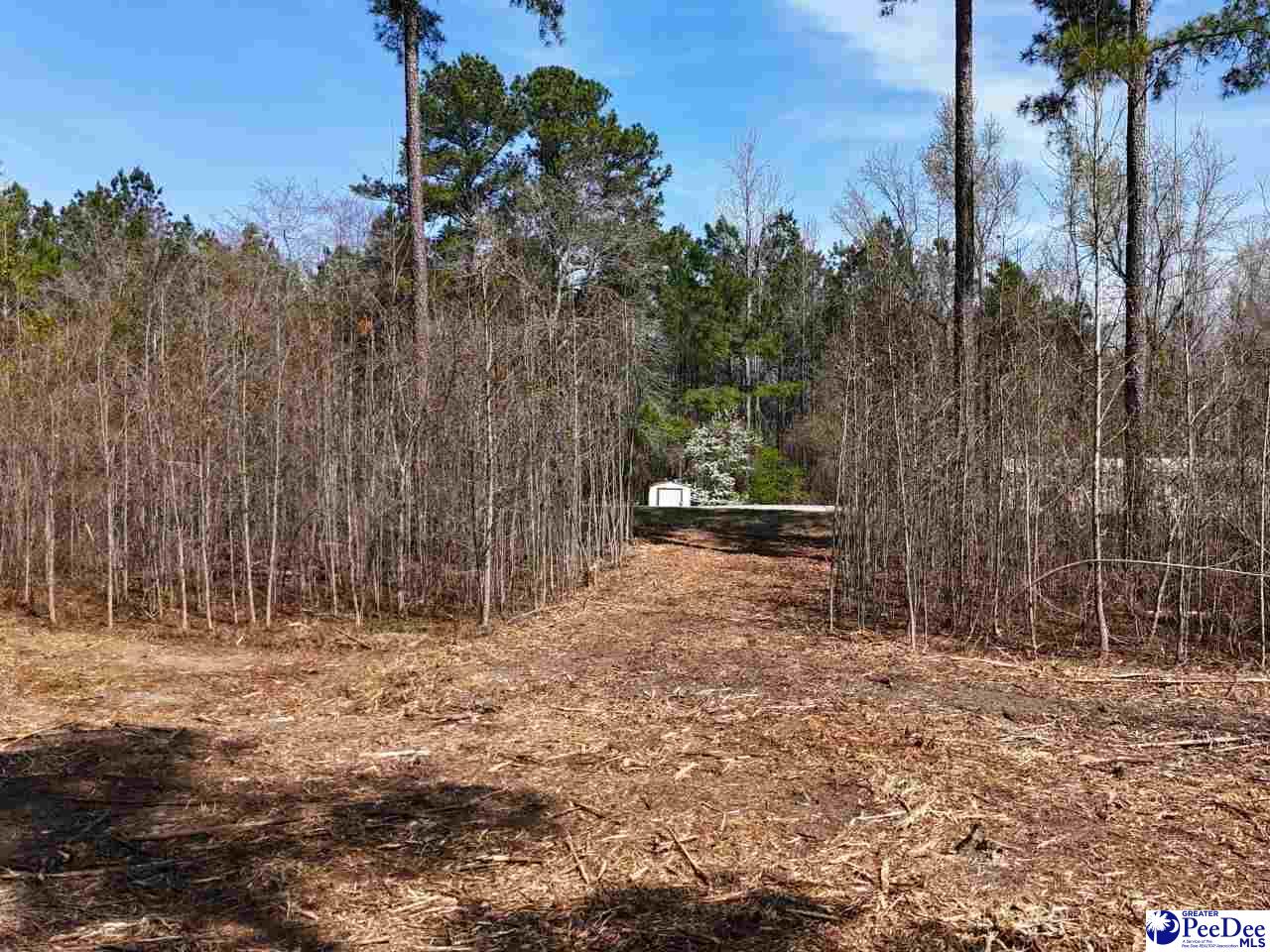 Tracts 1 & 2 Snow Hill Rd