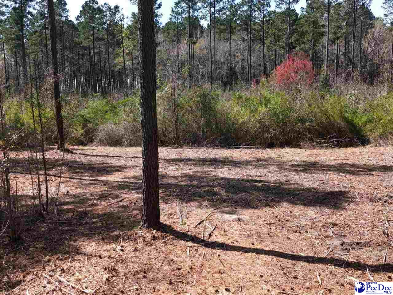 Tracts 1 & 2 Snow Hill Rd