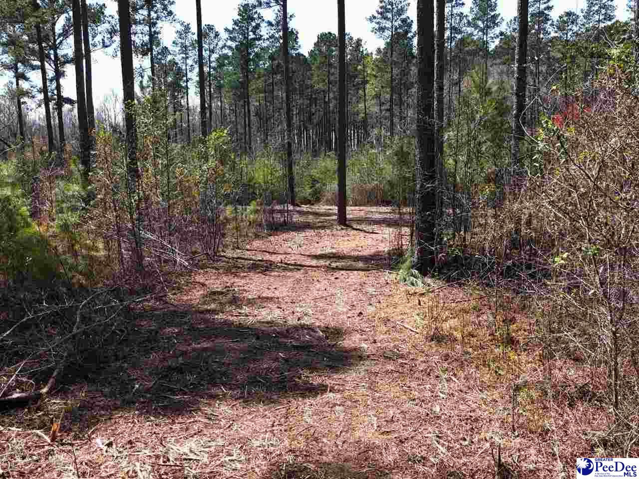 Tracts 1 & 2 Snow Hill Rd