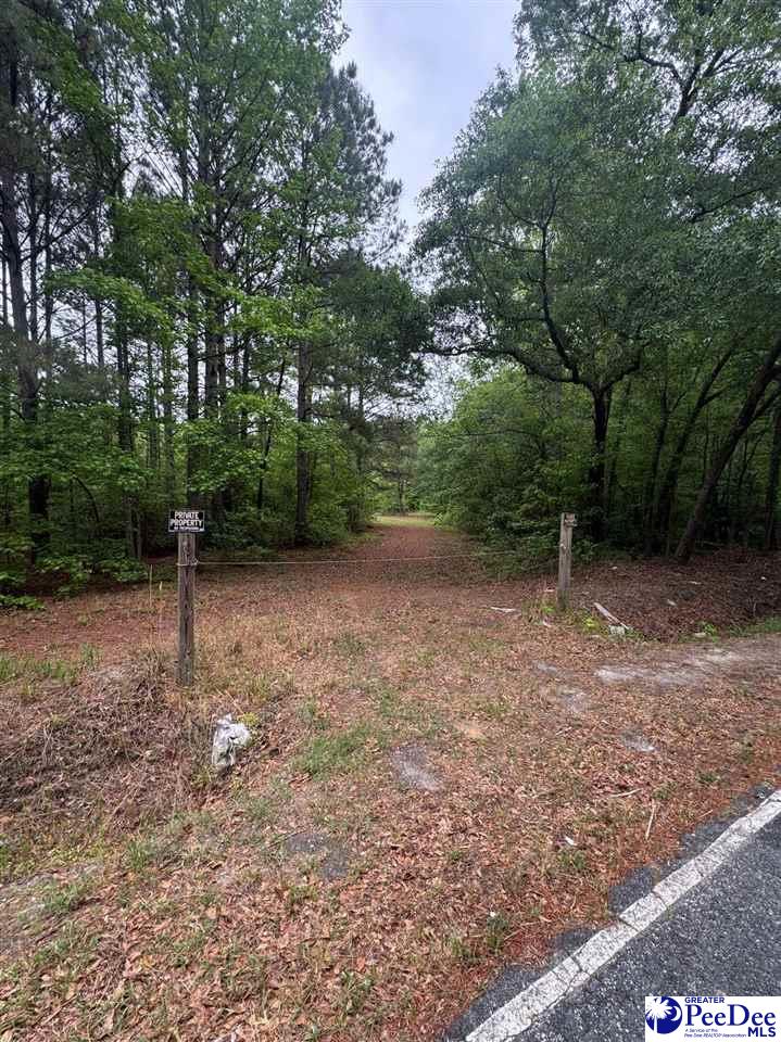 Daniel Chapel Rd